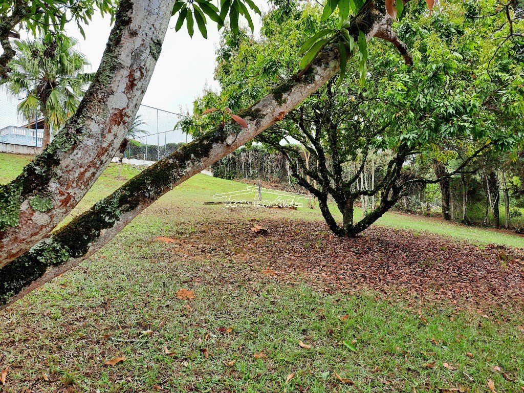 Fazenda à venda com 4 quartos, 376m² - Foto 60