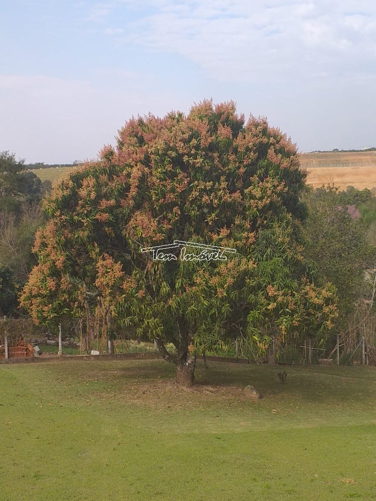 Fazenda à venda com 3 quartos, 140m² - Foto 21