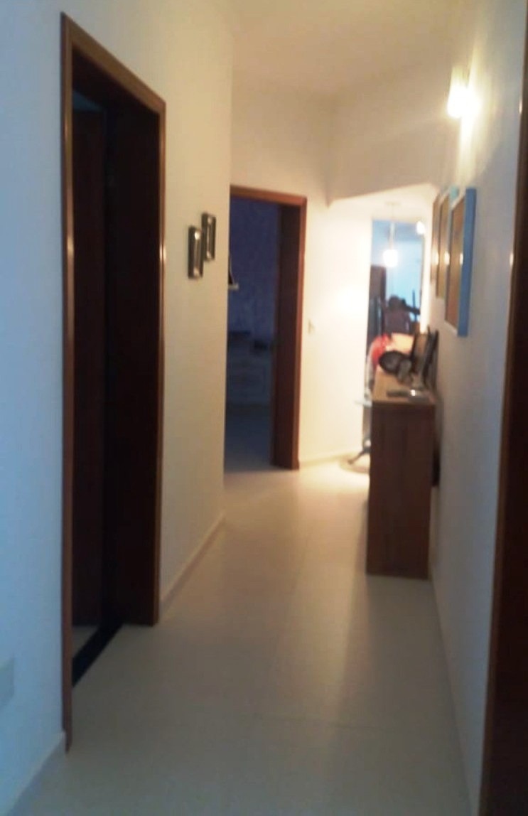 Fazenda à venda com 3 quartos, 300m² - Foto 12