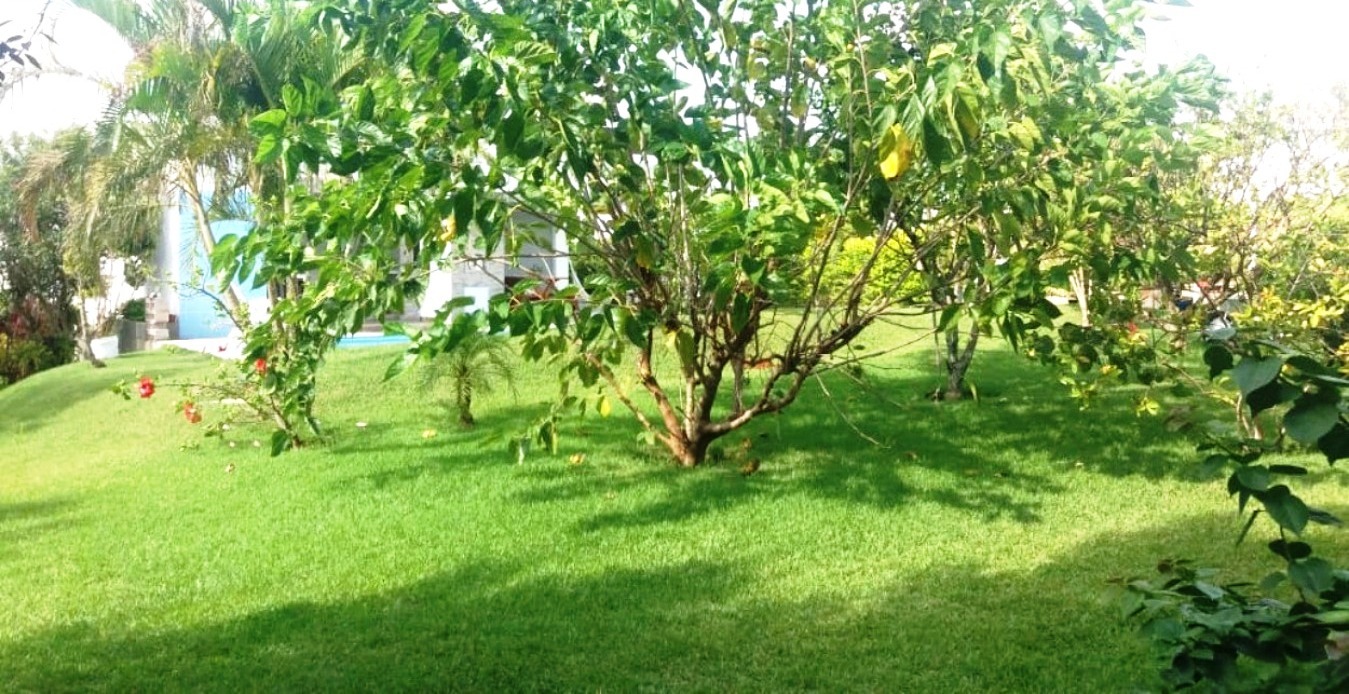 Fazenda à venda com 3 quartos, 300m² - Foto 43