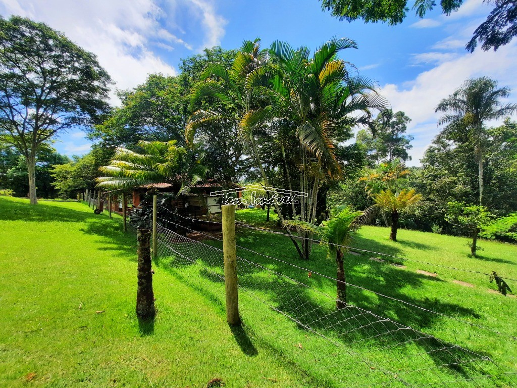 Fazenda à venda com 3 quartos, 500m² - Foto 51