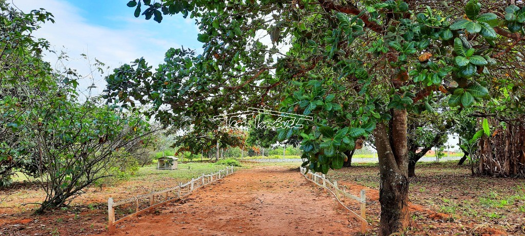 Fazenda à venda com 4 quartos, 400m² - Foto 44