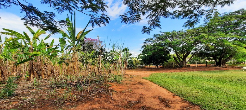 Fazenda à venda com 4 quartos, 400m² - Foto 41