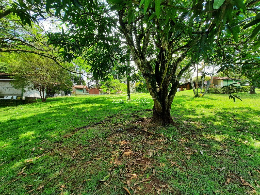 Fazenda à venda com 3 quartos, 500m² - Foto 54