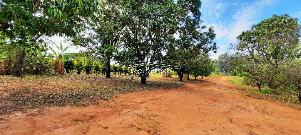 Fazenda à venda com 4 quartos, 400m² - Foto 43