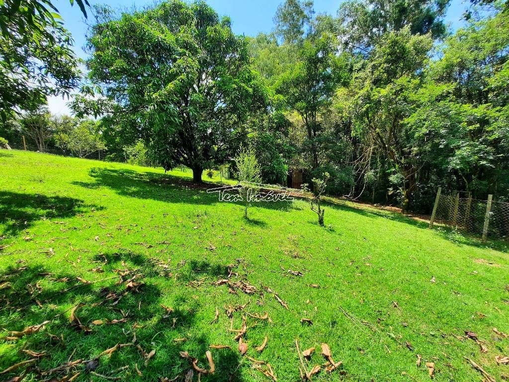 Fazenda à venda com 3 quartos, 500m² - Foto 53