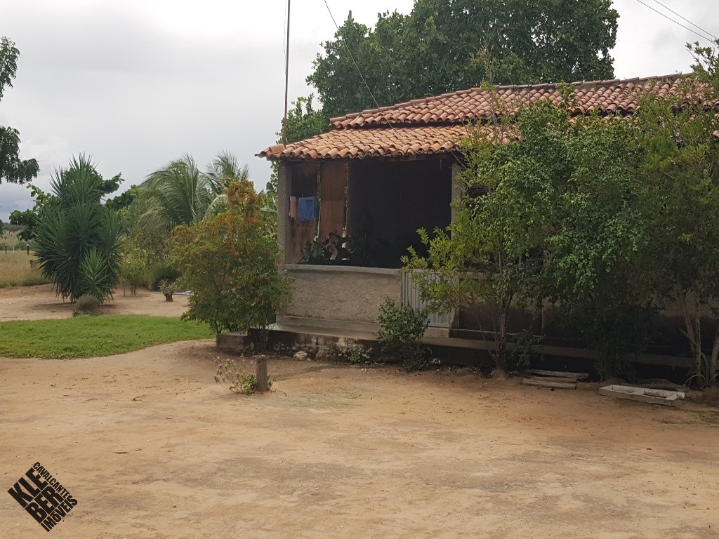 Fazenda à venda com 4 quartos, 21780m² - Foto 4