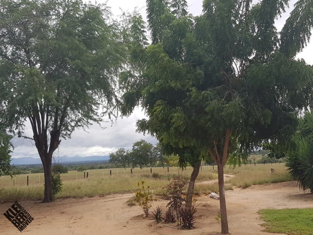 Fazenda à venda com 4 quartos, 21780m² - Foto 10