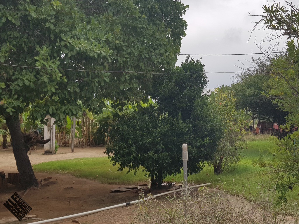 Fazenda à venda com 4 quartos, 21780m² - Foto 11