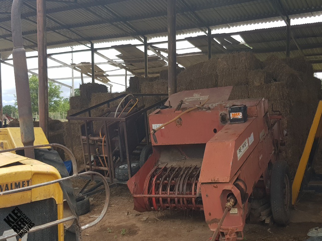 Fazenda à venda com 4 quartos, 21780m² - Foto 13