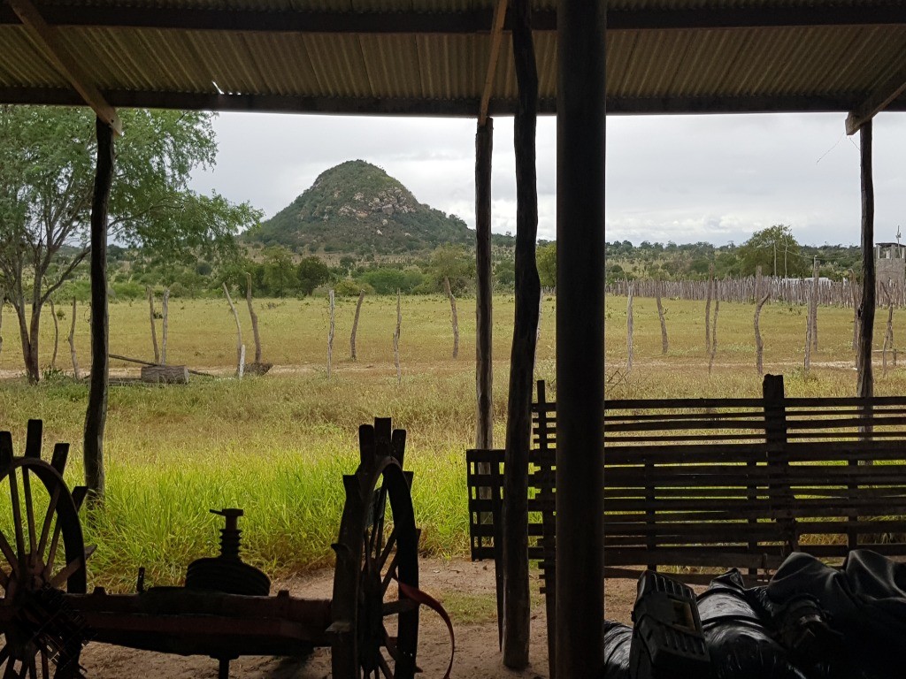 Fazenda à venda com 4 quartos, 21780m² - Foto 15