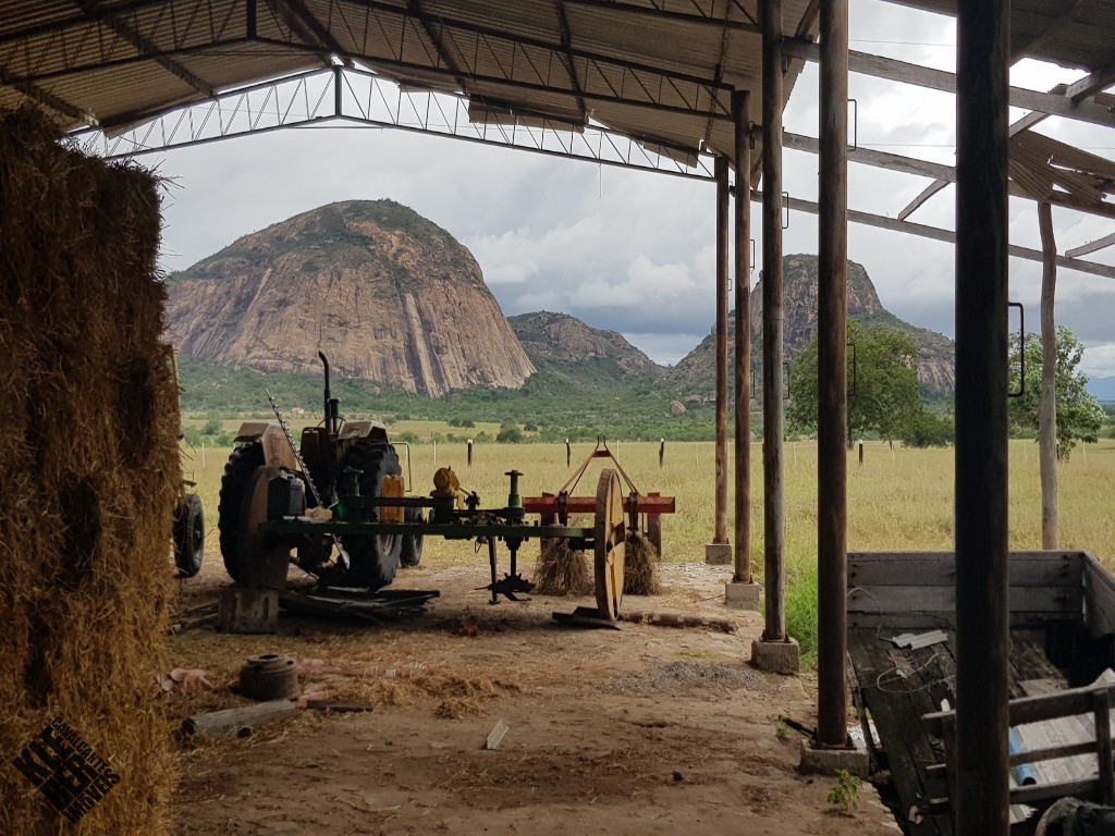 Fazenda à venda com 4 quartos, 21780m² - Foto 16