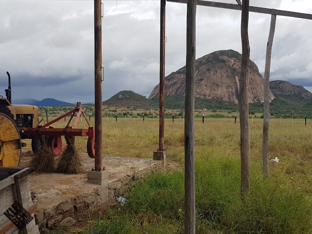 Fazenda à venda com 4 quartos, 21780m² - Foto 18