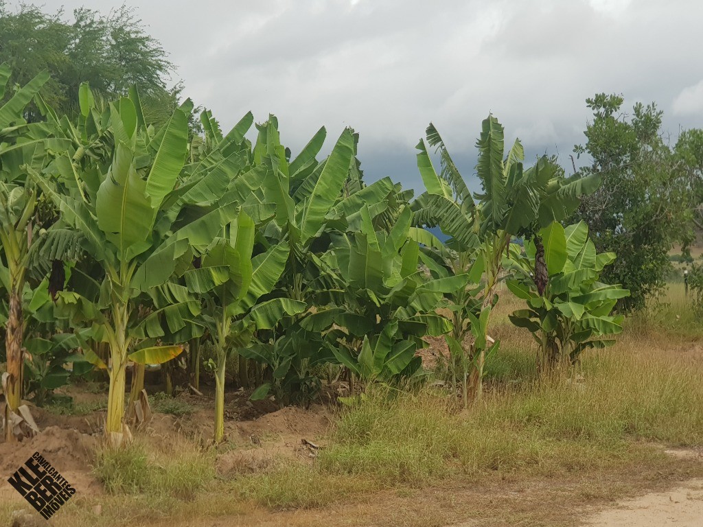 Fazenda à venda com 4 quartos, 21780m² - Foto 19