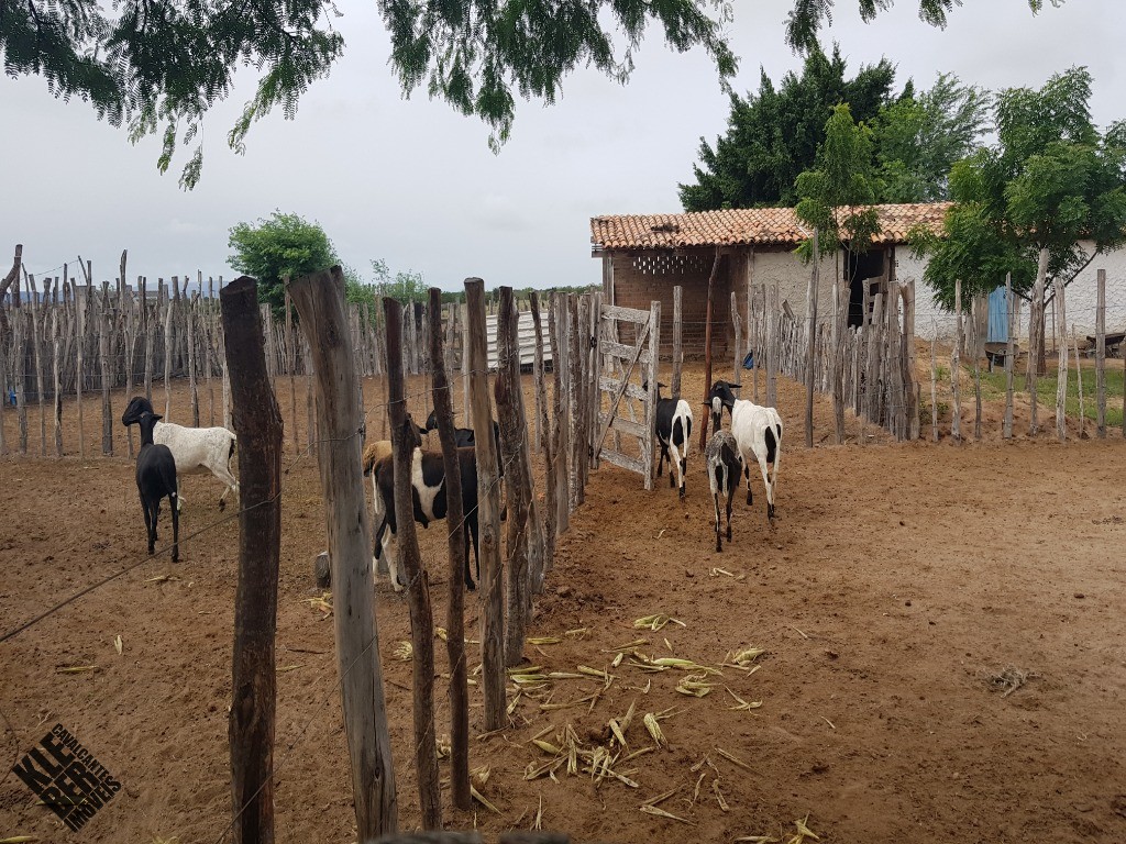 Fazenda à venda com 4 quartos, 21780m² - Foto 21