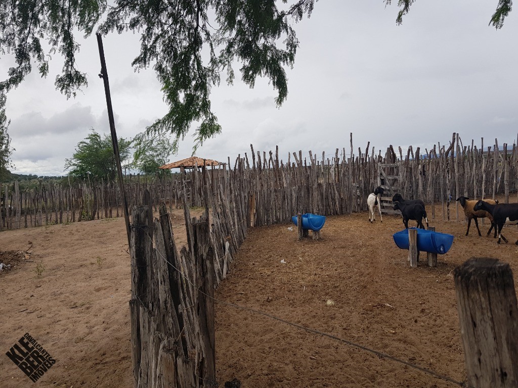 Fazenda à venda com 4 quartos, 21780m² - Foto 23