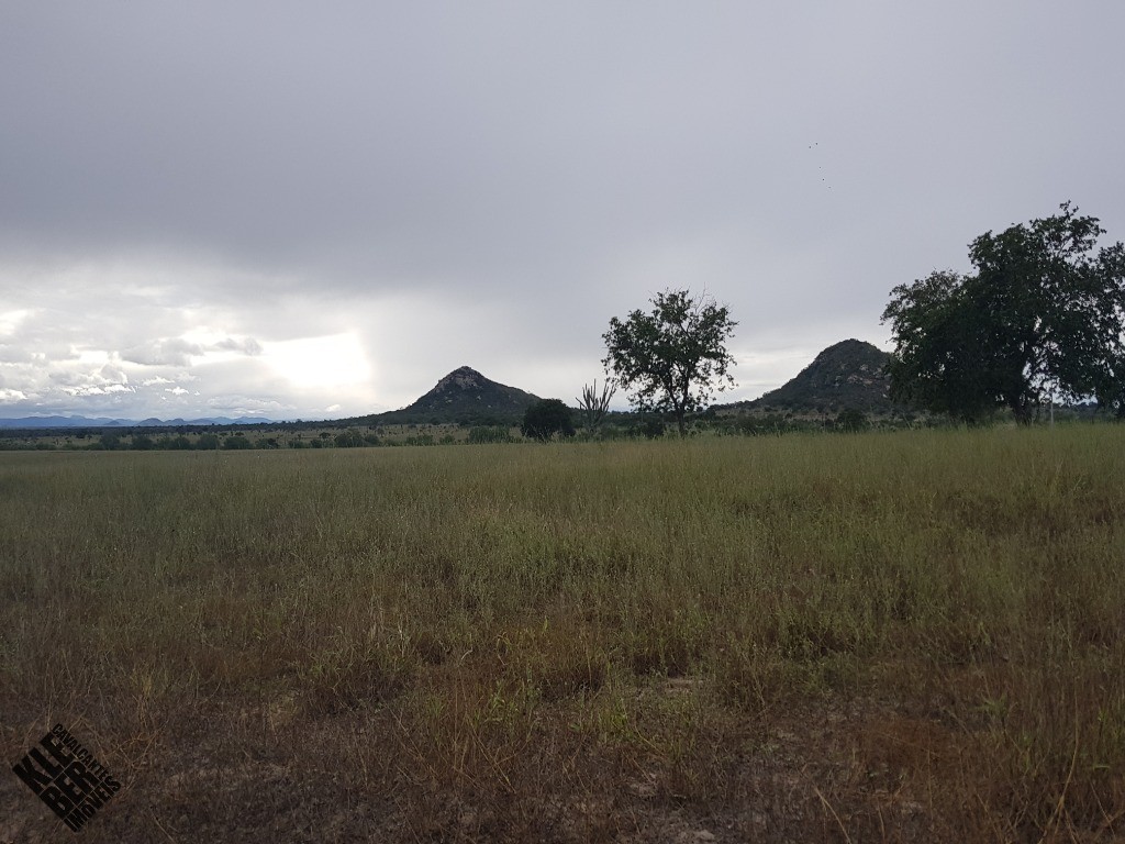 Fazenda à venda com 4 quartos, 21780m² - Foto 27