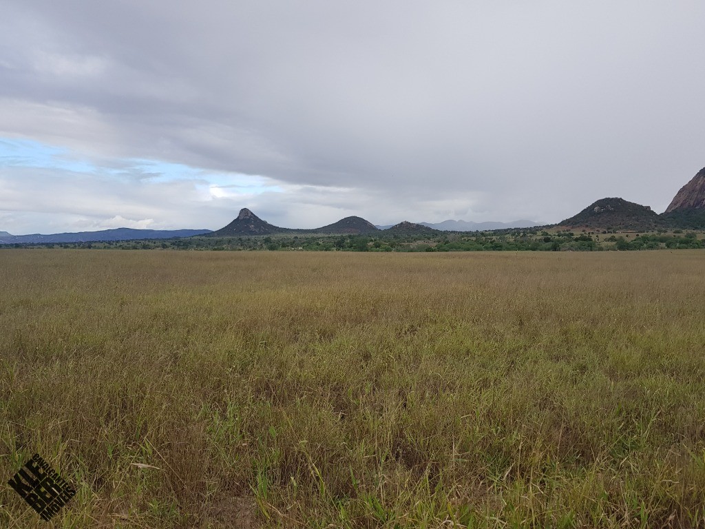 Fazenda à venda com 4 quartos, 21780m² - Foto 29