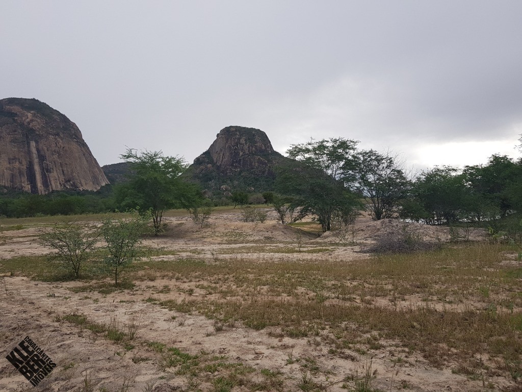 Fazenda à venda com 4 quartos, 21780m² - Foto 36