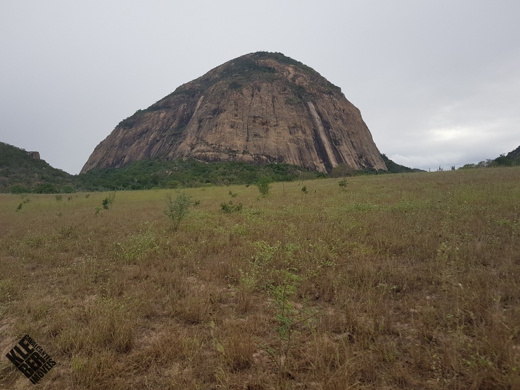 Fazenda à venda com 4 quartos, 21780m² - Foto 35