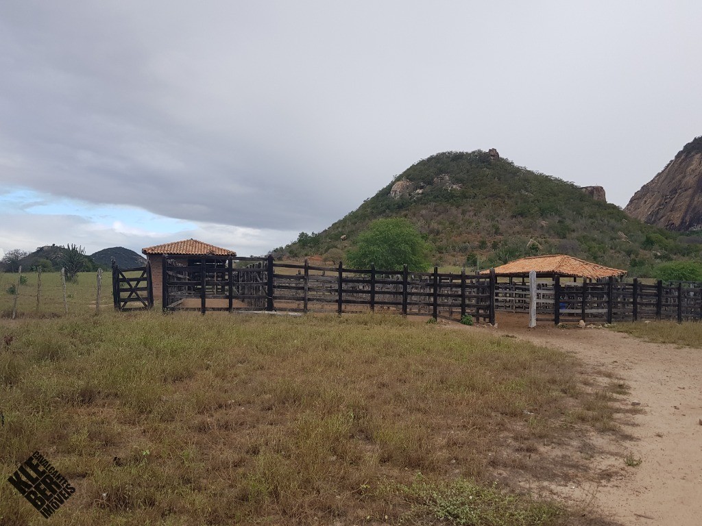 Fazenda à venda com 4 quartos, 21780m² - Foto 38