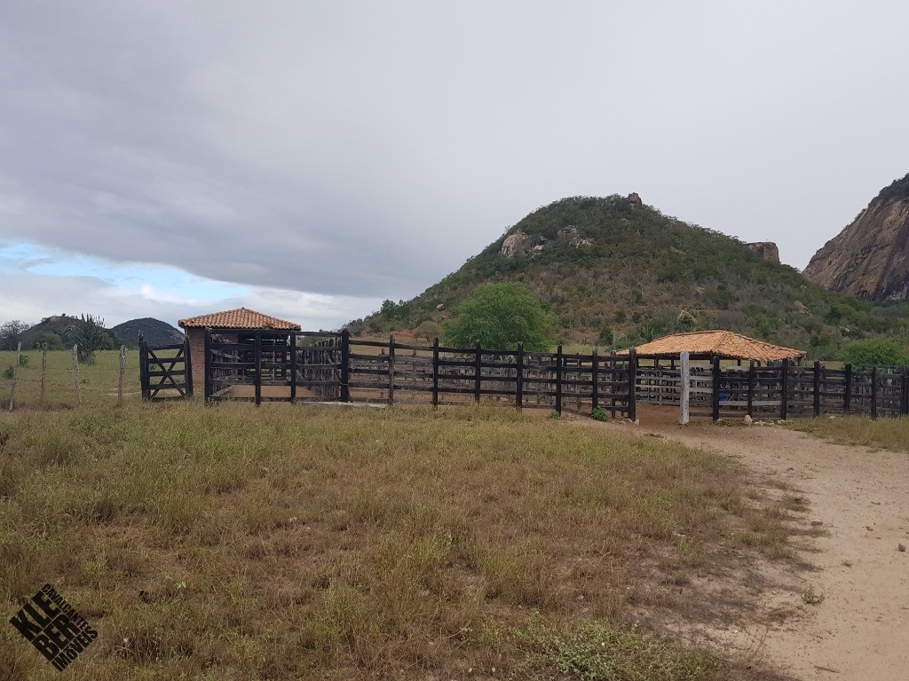 Fazenda à venda com 4 quartos, 21780m² - Foto 39