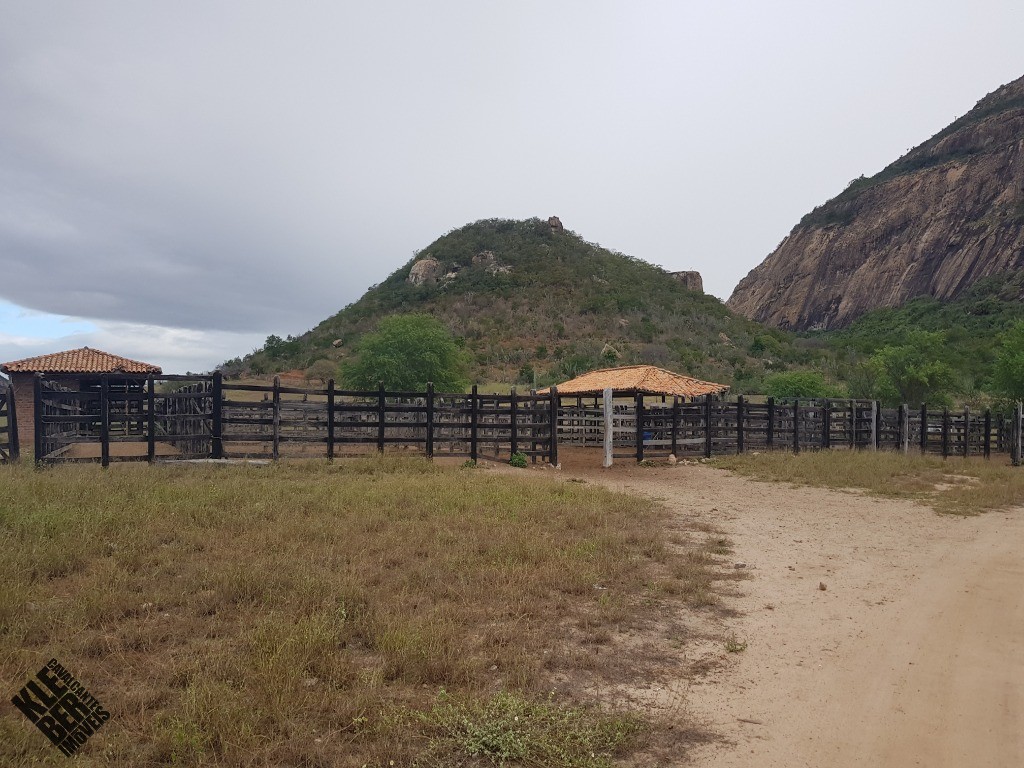 Fazenda à venda com 4 quartos, 21780m² - Foto 40