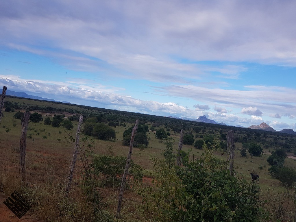 Fazenda à venda com 4 quartos, 21780m² - Foto 46