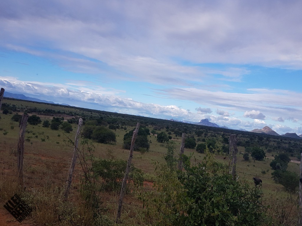 Fazenda à venda com 4 quartos, 21780m² - Foto 47