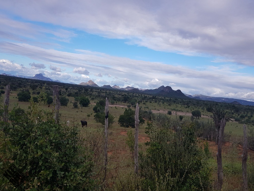 Fazenda à venda com 4 quartos, 21780m² - Foto 48