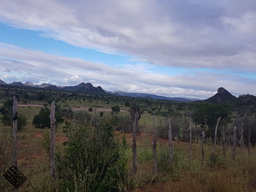 Fazenda à venda com 4 quartos, 21780m² - Foto 49