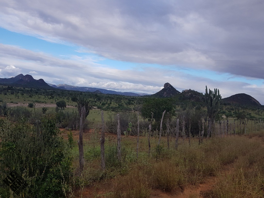 Fazenda à venda com 4 quartos, 21780m² - Foto 50