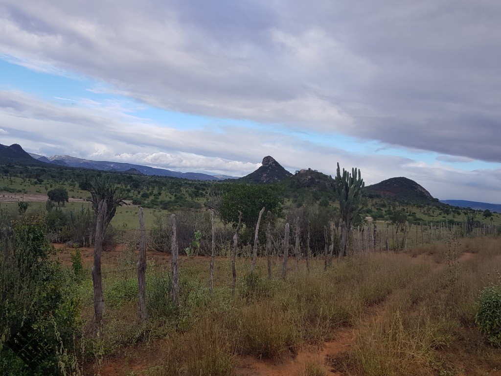 Fazenda à venda com 4 quartos, 21780m² - Foto 51