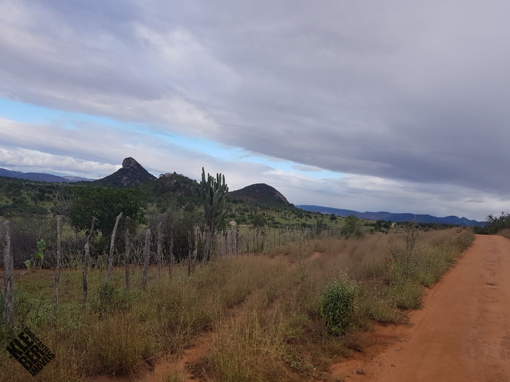 Fazenda à venda com 4 quartos, 21780m² - Foto 52