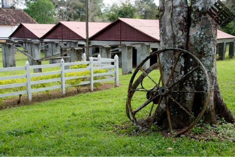 Fazenda à venda, 245m² - Foto 4