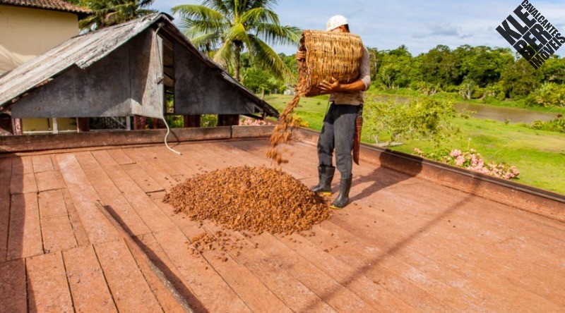 Fazenda à venda, 245m² - Foto 6