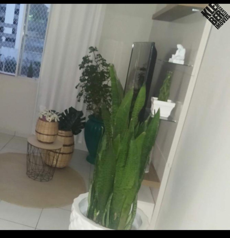 Apartamento para alugar com 2 quartos, 89m² - Foto 5