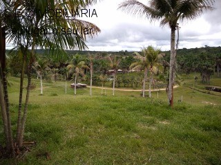 Fazenda à venda com 9 quartos, 325000m² - Foto 9