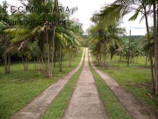 Fazenda à venda com 9 quartos, 325000m² - Foto 11