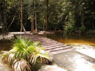 Fazenda à venda com 9 quartos, 325000m² - Foto 19