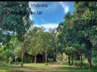 Fazenda à venda com 8 quartos - Foto 7