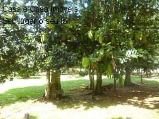 Fazenda à venda com 13 quartos, 40000m² - Foto 7