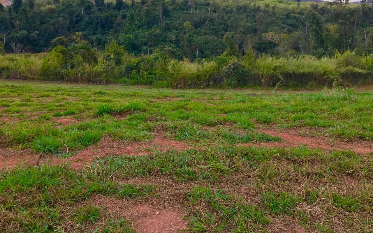 Terreno à venda, 1239m² - Foto 8