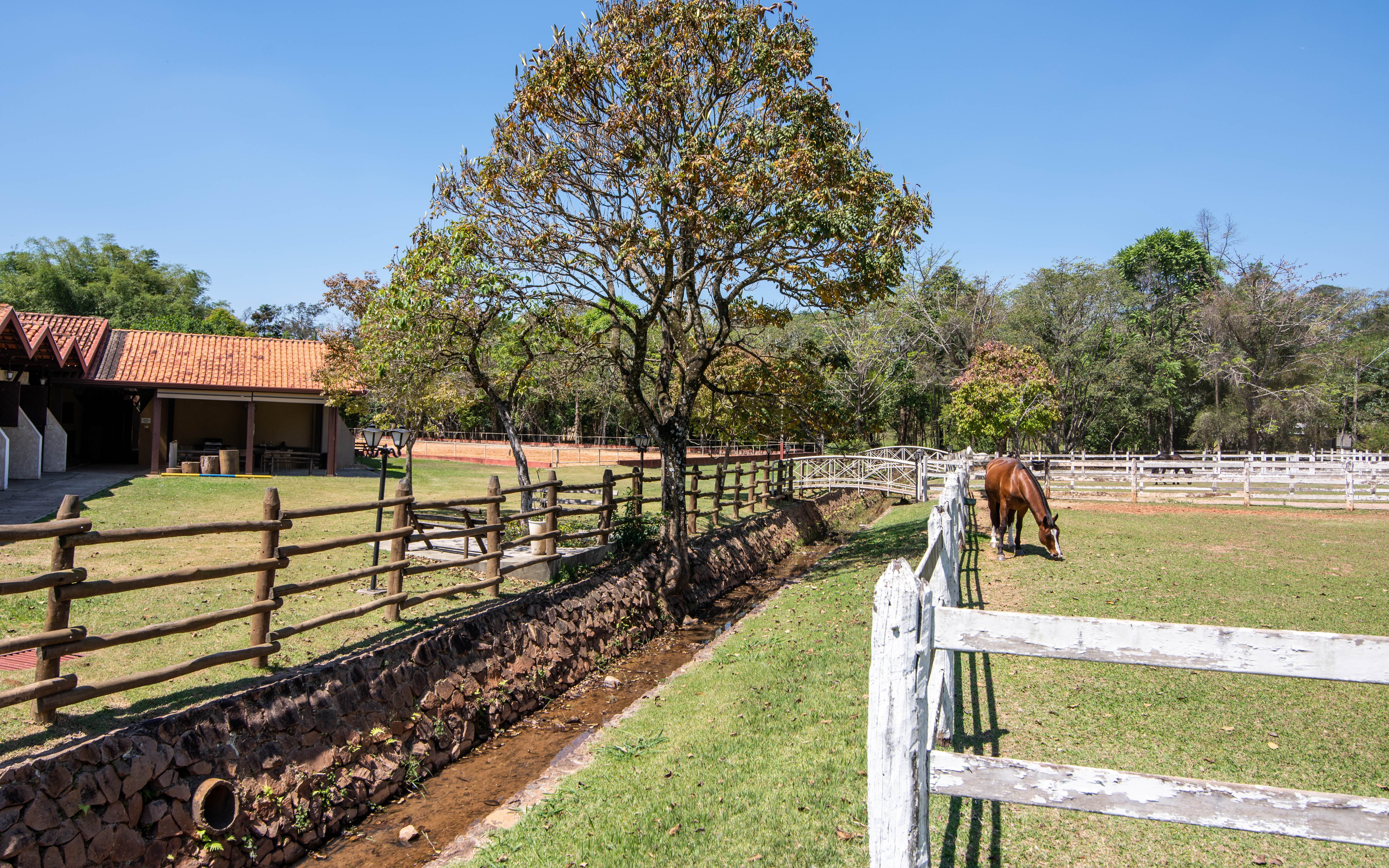 Casa de Condomínio à venda e aluguel com 5 quartos, 1200m² - Foto 41