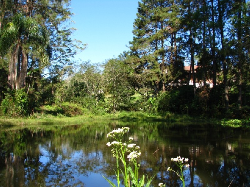 Terreno à venda, 22000m² - Foto 12