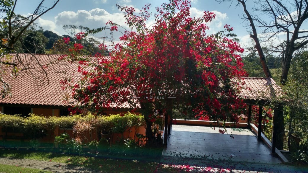 Fazenda à venda com 4 quartos, 600m² - Foto 7