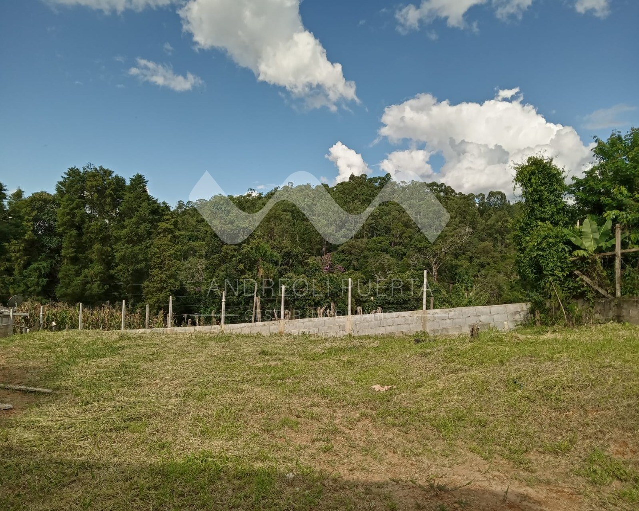 Fazenda à venda com 4 quartos, 1560m² - Foto 32