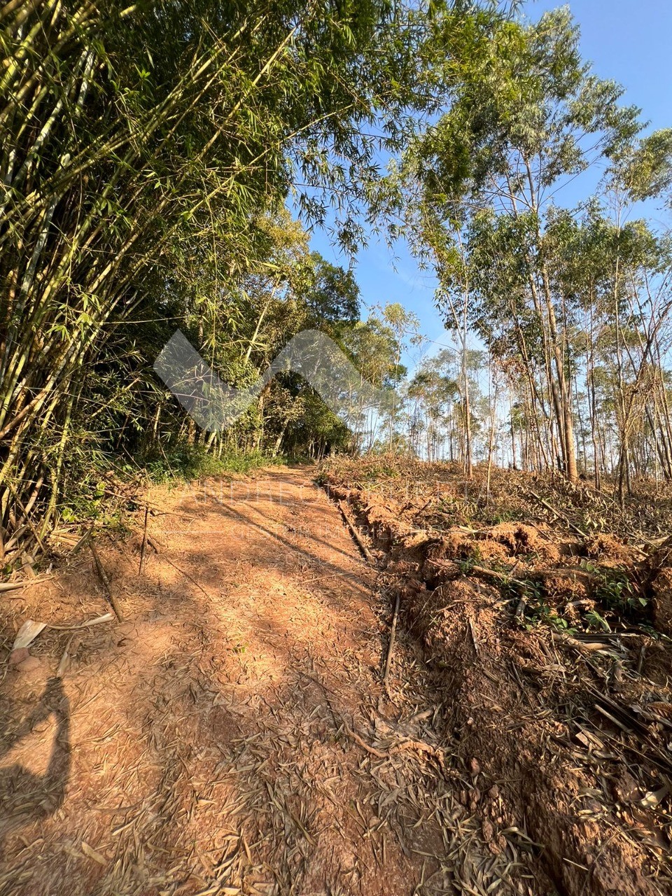 Terreno à venda, 20000m² - Foto 12