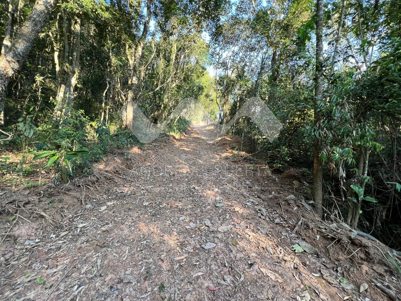 Terreno à venda, 20000m² - Foto 11