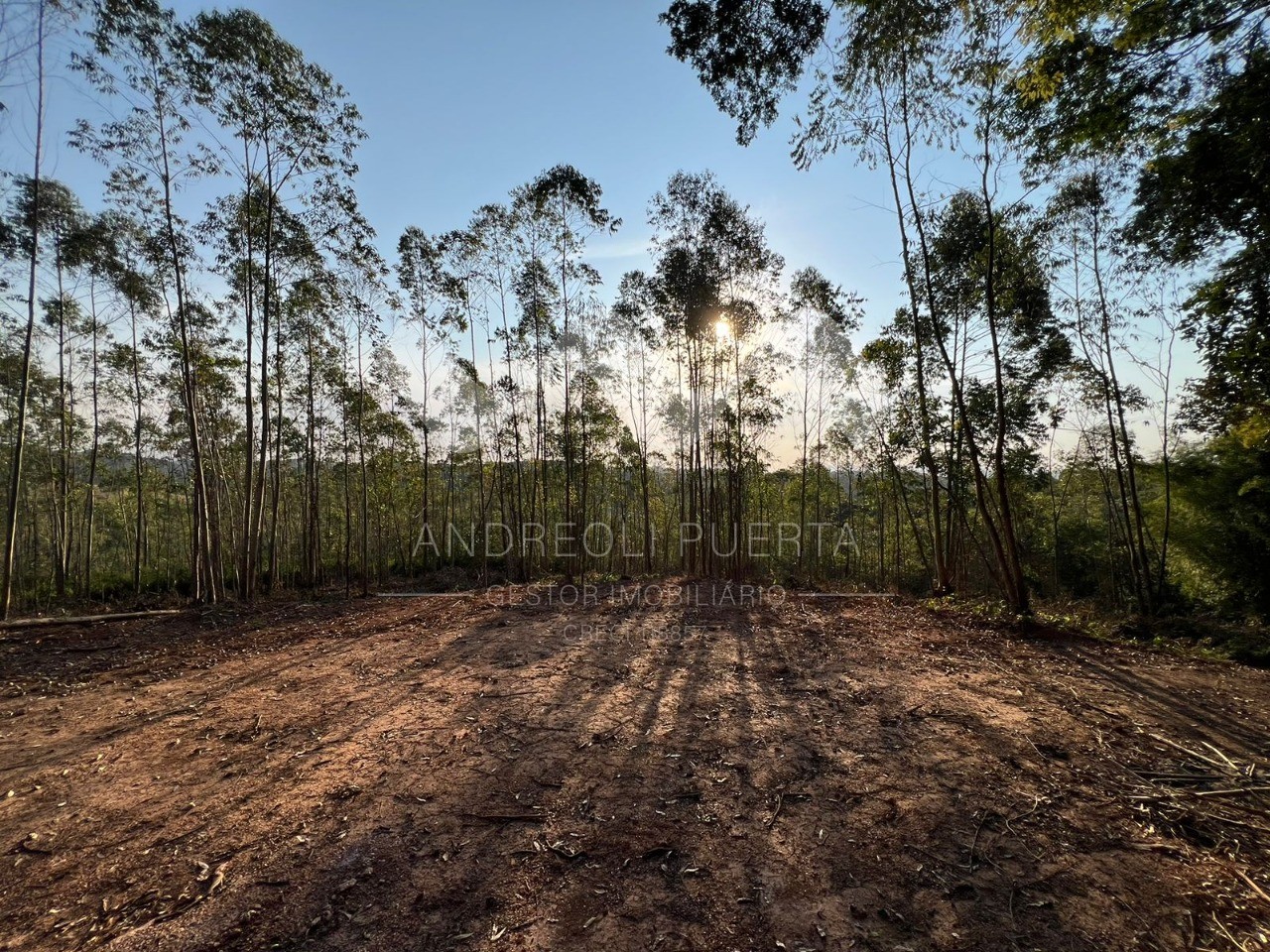 Terreno à venda, 20000m² - Foto 16